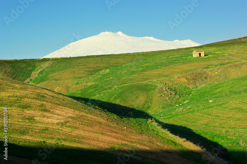 Minimalist Farmland Landscape Of Sicily Agriculture Around Etna Mount In Winter
