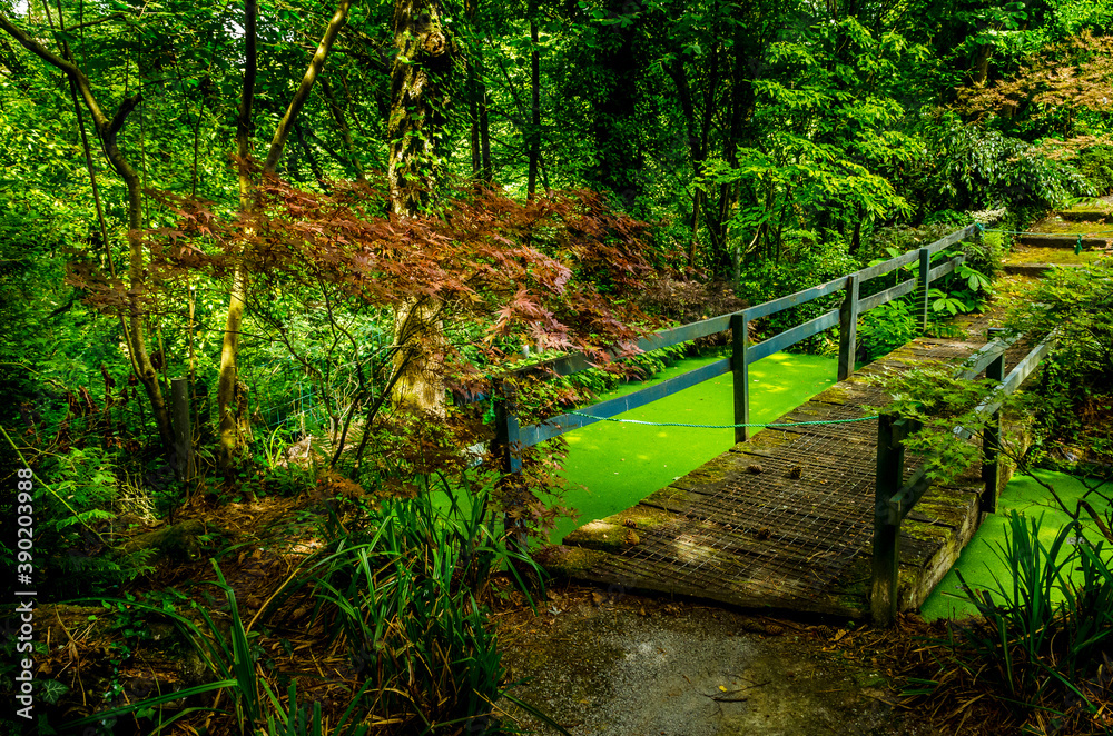 Obraz premium Reportage Nature