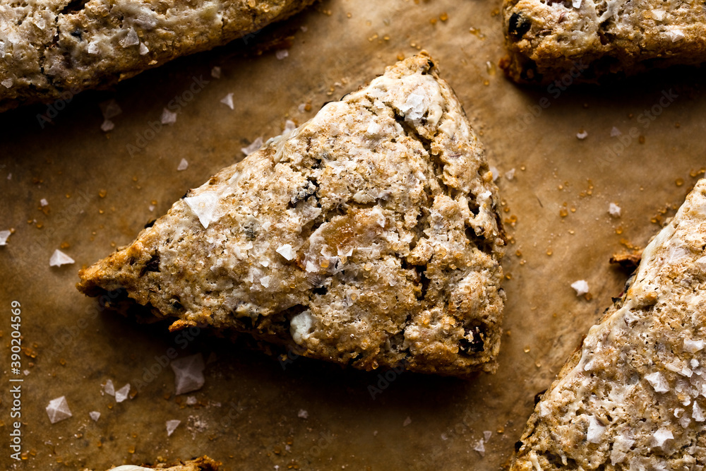 Close up of savory scones in baking tray Close up of savory scones in baking tray
