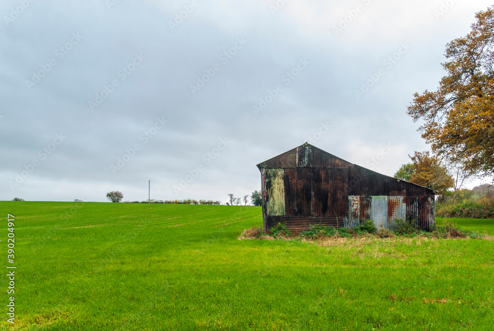 Rusty corrugated iron shed in a field