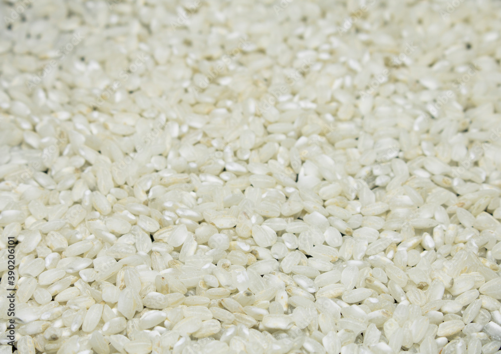 European Pile of Rice in light box black background, mountain the rice, Valencia, Spain
Half black half rice for titles European Pile of Rice in light box black background, mountain the rice, Valencia, Spain
Half black half rice for titles