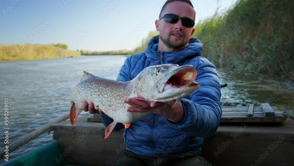 Angler with fish. Fisherman holds trophy pike fish (Esox lucius) being in the boat on a river