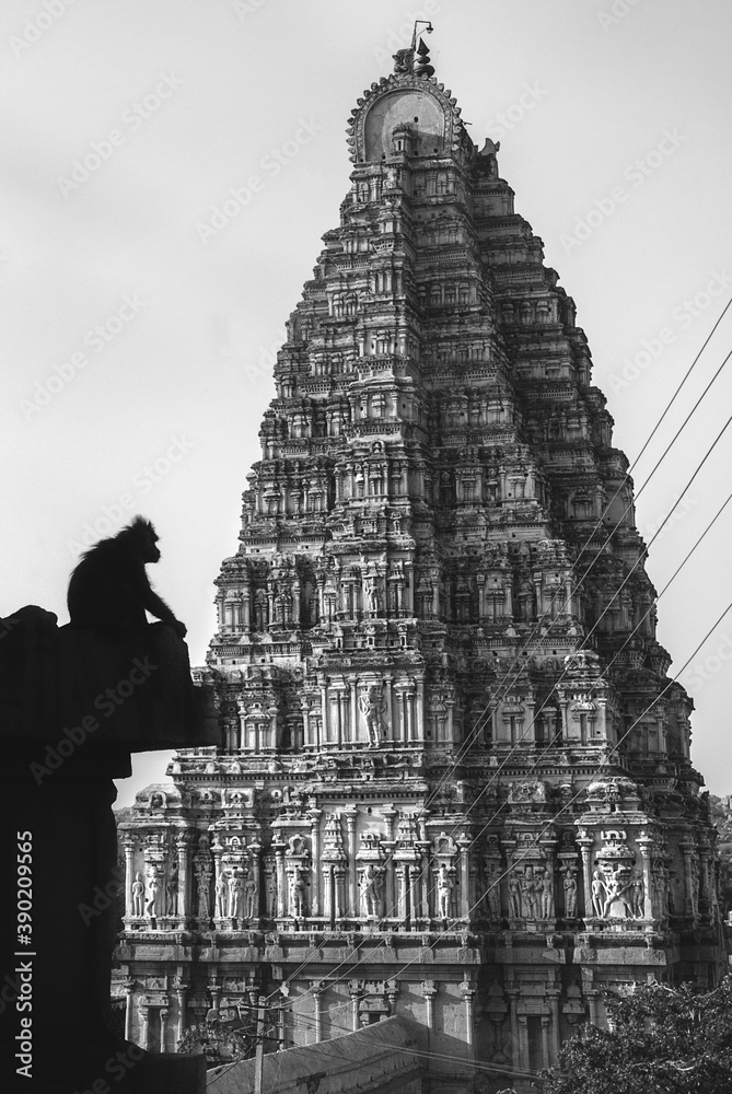 Monkey guarding the main temple in Hampi, world heritage city in Karnataka, India