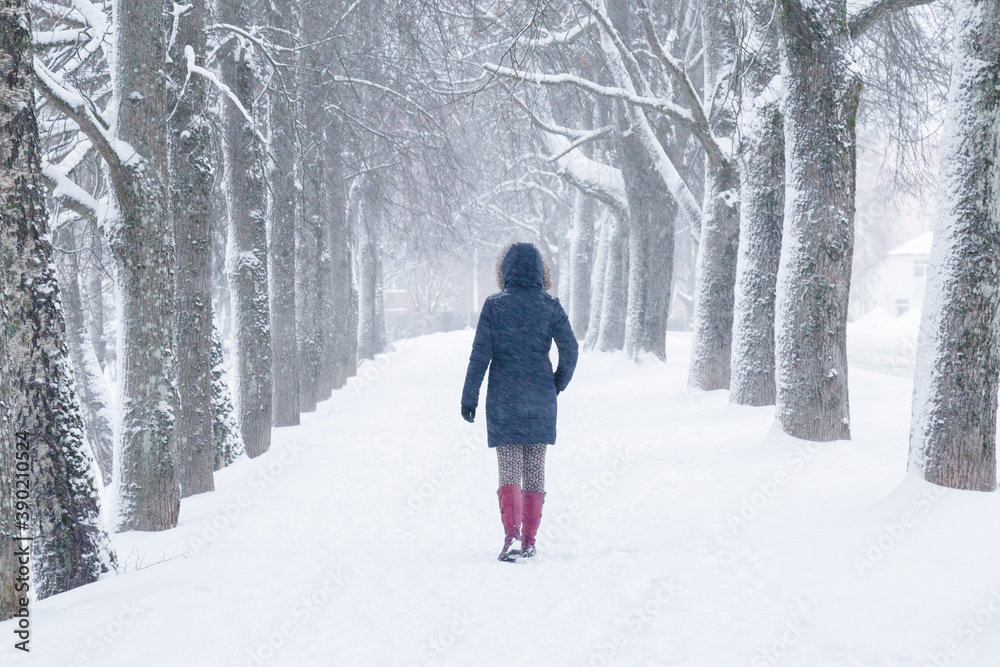 Young adult woman alone slowly walking on snow covered sidewalk through alley of trees. Enjoying fresh air in blizzard in winter day. Back view.
