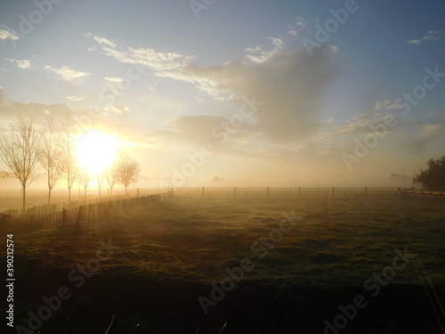 sunrise over a pasture with fog in the background near de woude, netherlands photo