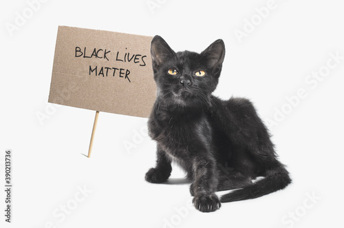 black kitten with the slogan black lives matter on white background isolated
