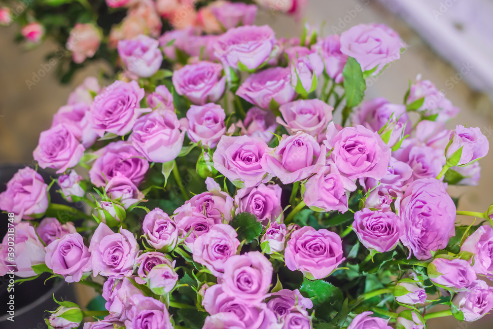 Colorful beautiful flowers bouquet - purple roses at studio, flower shop - close up view. Floristry, romantic, holiday, birthday, valentine day, wedding, celebration concept Colorful beautiful flowers bouquet - purple roses at studio, flower shop - close up view. Floristry, romantic, holiday, birthday, valentine day, wedding, celebration concept