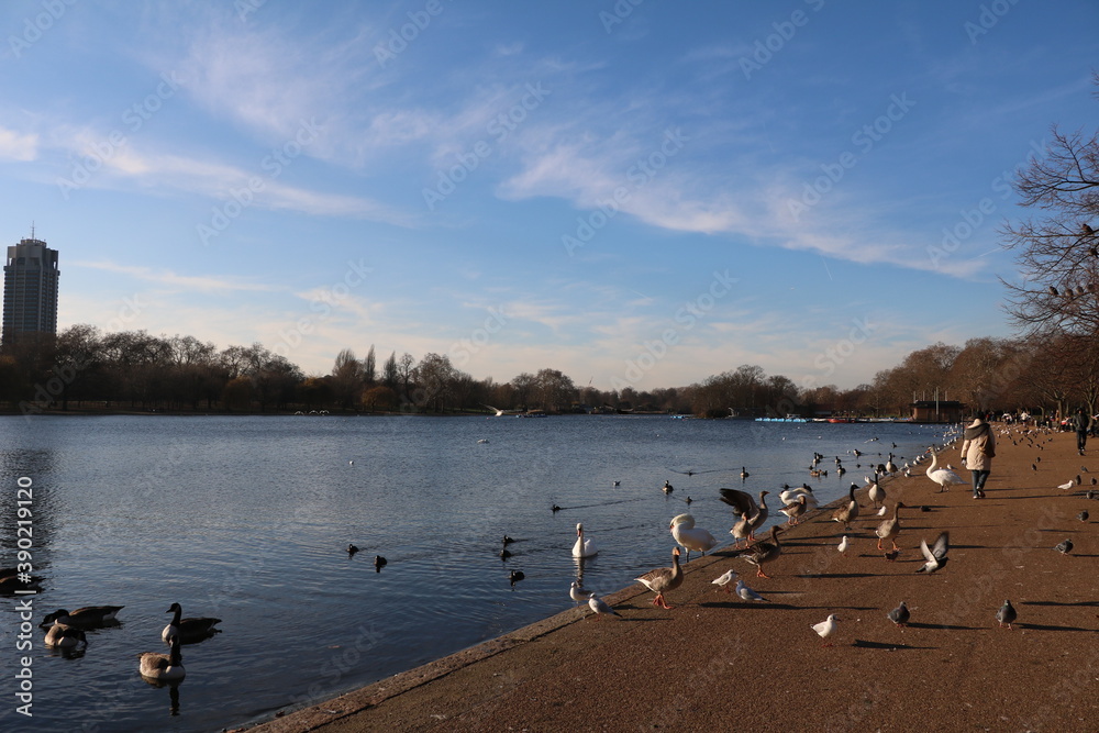 The Serpentine Hyde Park in winter in London, England