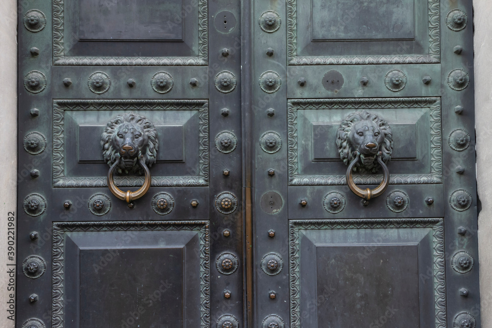 Antique bronze door knocking knob ring in the form of a lion's face on an old door. Antique bronze door knocking knob ring in the form of a lion's face on an old door.
