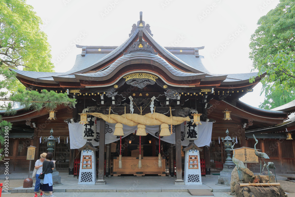 Fototapeta premium 櫛田神社 拝殿