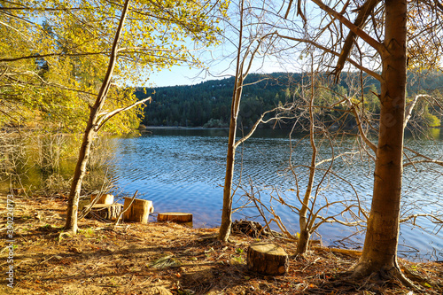 a stunning shot of the still blue lake waters with lush green and autumn colored trees reflecting off the lake at Lake Gregory in Crestline California photo