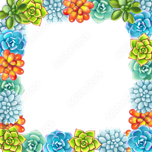 Floral Border. Succulents arranged un a shape of frame