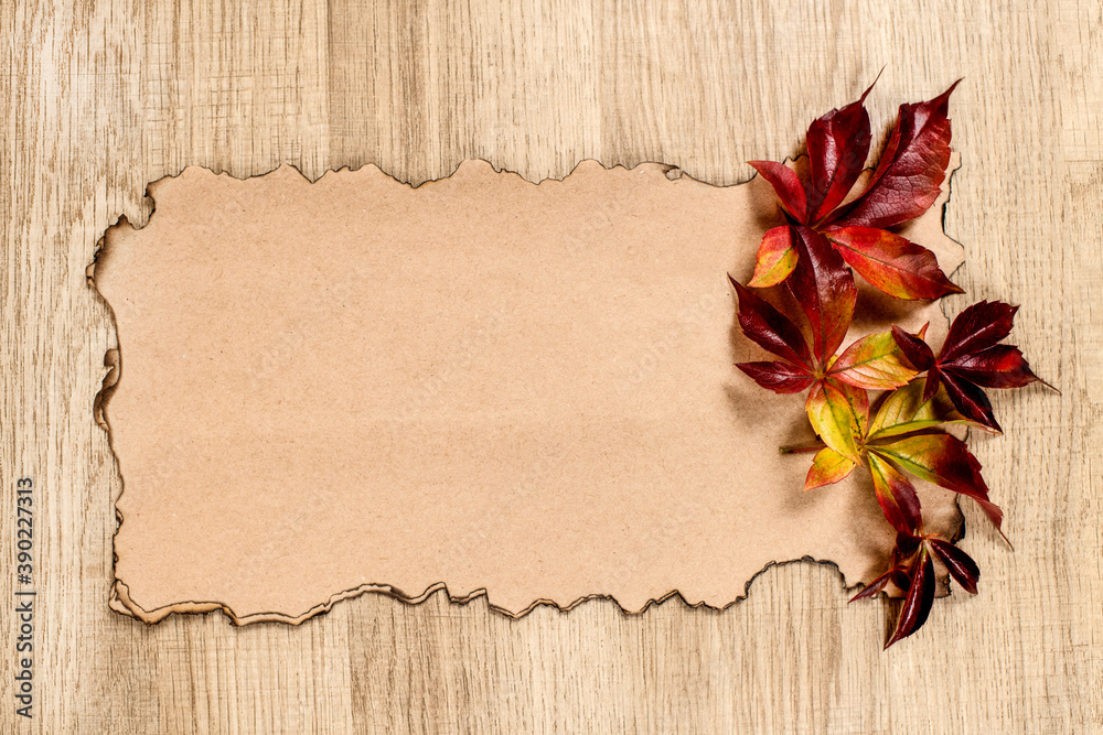 Colorful autumn leaves on rustic wooden background with text