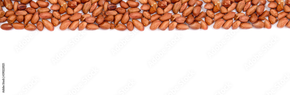 Obraz premium Peanuts banner. Uncleaned inshell nut peanuts isolated on white background. Flat lay, copy space