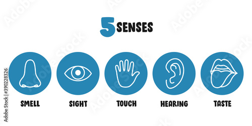 Five Senses Concept With Human Organs