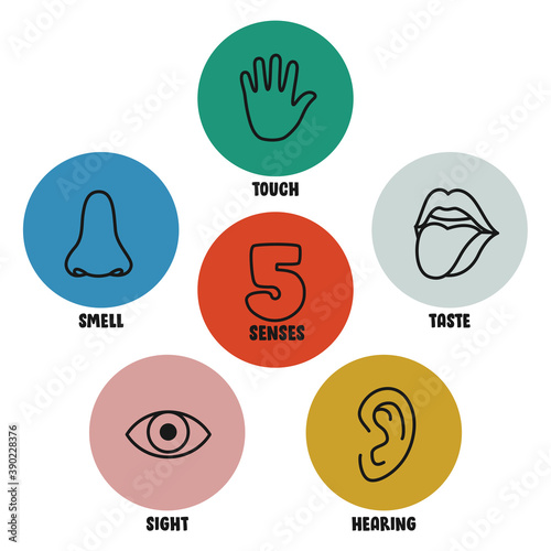 Five Senses Concept With Human Organs