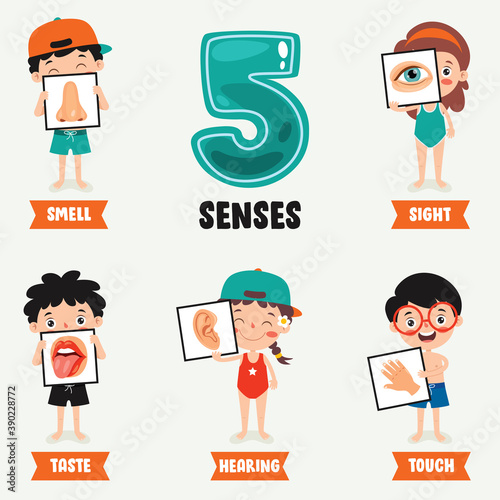 Five Senses Concept With Human Organs