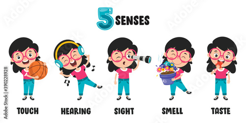 Five Senses Concept With Human Organs