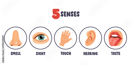 Five Senses Concept With Human Organs