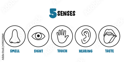 Five Senses Concept With Human Organs