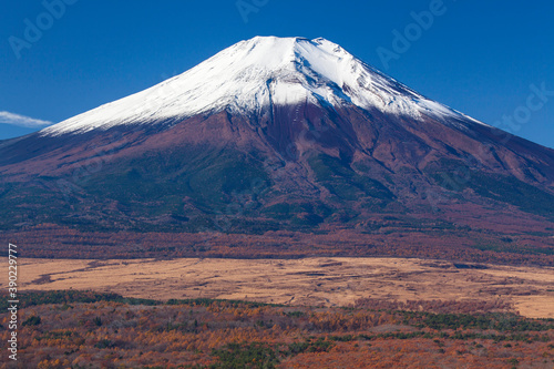 新雪の富士山