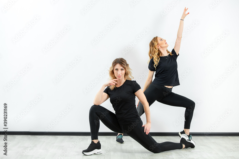 Two beautiful young women doing fitness exercises in the gym
