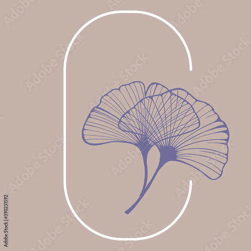 Ginkgo biloba leaves. Hand drawing elements for logo wedding cards  cosmetics  tattoo  spa  jewelry  yoga design. Vector illustration in a minimal linear style.