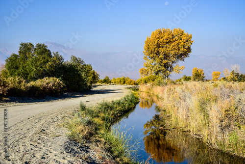 autumn tree refection in canal water along dirt road in rural landscape