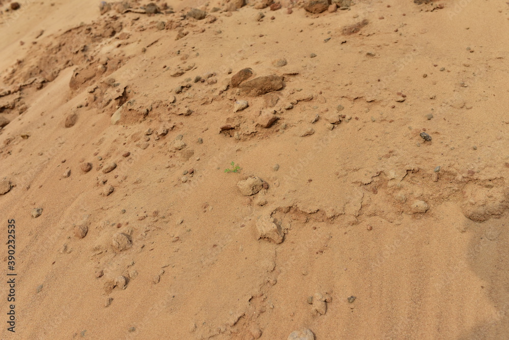The texture of the sandy layer of the earth. Sand background The texture of the sandy layer of the earth. Sand background