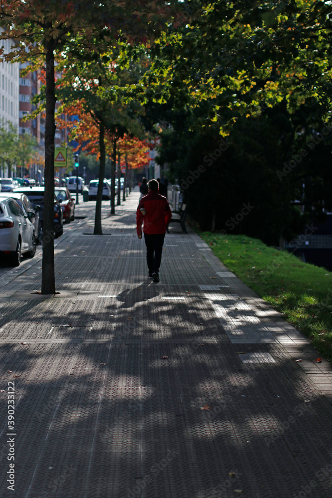 Walking in the park