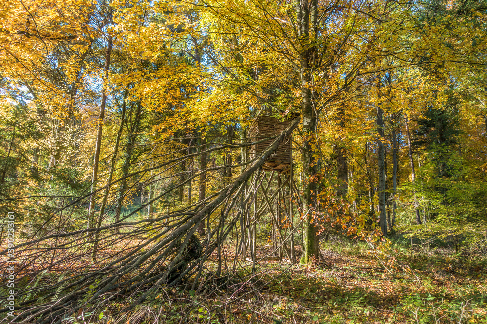 Fototapeta premium Hoch und Jägersitz im Herbst