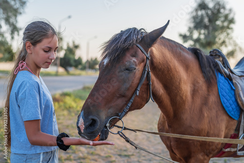 A young girl feeds a horse a carrot, close-up