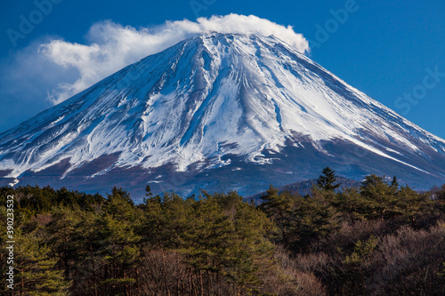 精進湖からの富士山