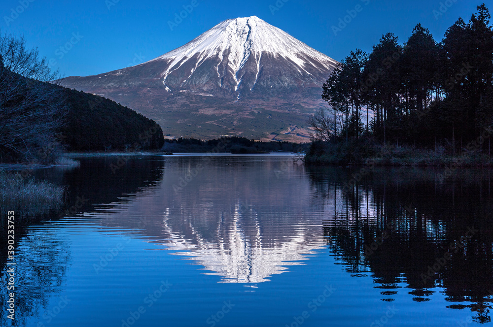 田貫湖からの逆さ富士