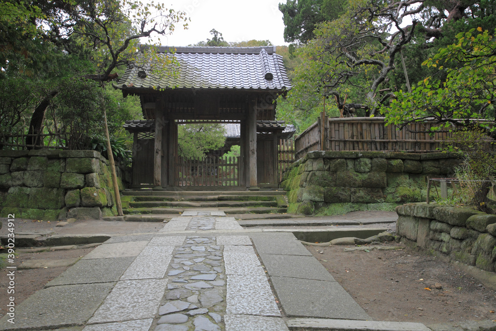 Fototapeta premium 寿福寺