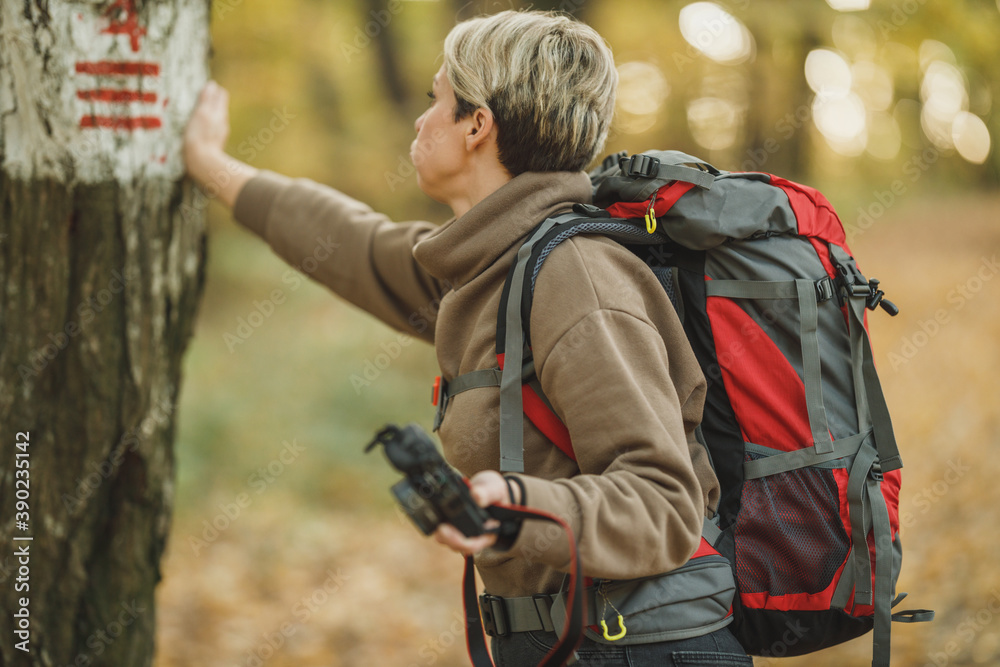 Fototapeta premium Today I Decided I Should Venture Into The Woods