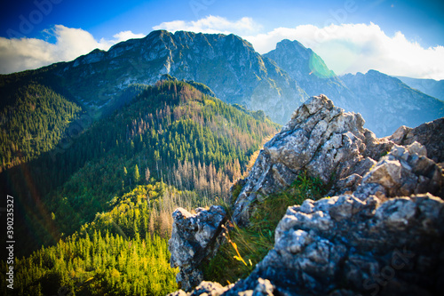 Obraz na płótnie Widok na giewont z Sarniej Skałki, Tatry, Polska w salonie