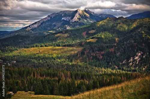 Fototapeta Naklejka Na Ścianę i Meble -  Letni dzień w górach, Tatry, Polska
