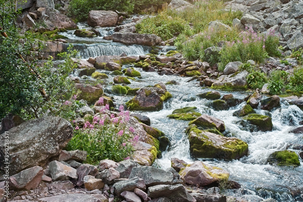 A stream of water flows along the rocks among green plants in the Fulufjallet Nature Reserve
