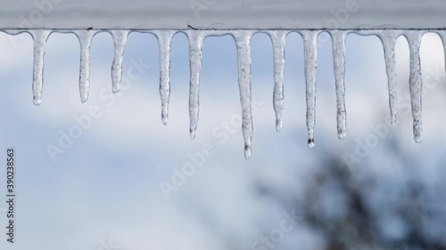 Drops of water run down the melting icicle close up view