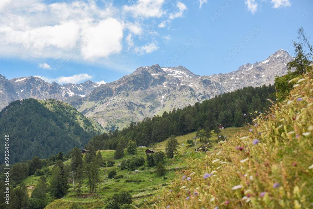 montagna estate verde baite masi Val di Sole Pejo Trentino Peio alpi cime alp 