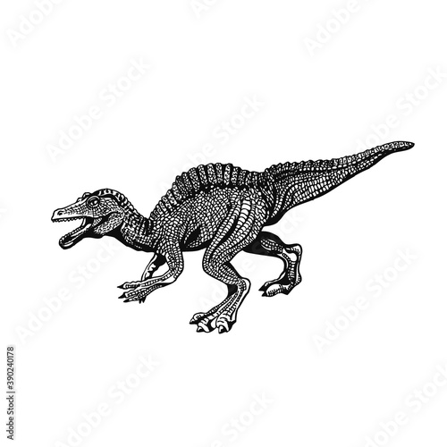 Vector illustration of spinosaurus isolated on white background,vector illustration,tattoo