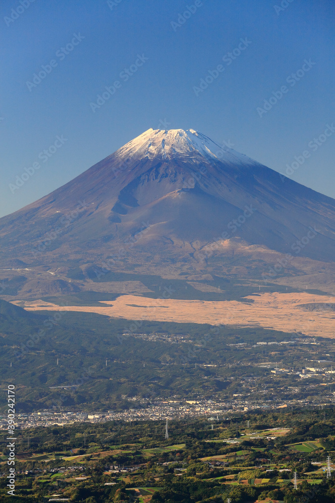 富士山南麓
