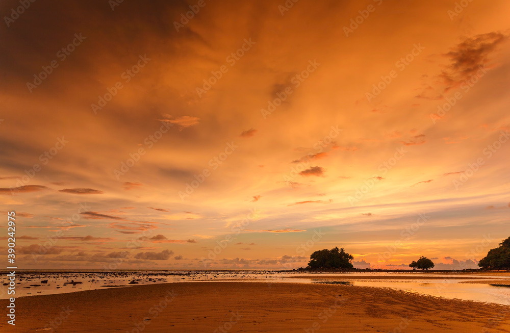Beautiful sunset landscape with tree silhouettes on low tide beach.