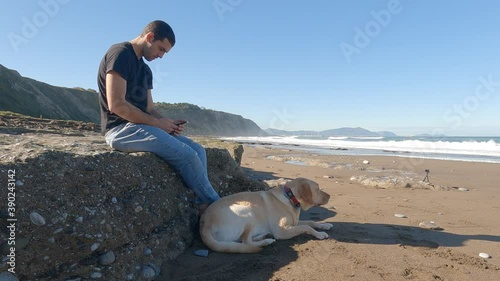 Labrador retriever dog rests lying on the beach sand near his owner