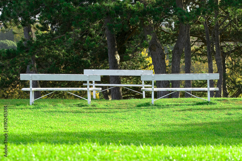 Photography white bench in phoenix park in dublin
