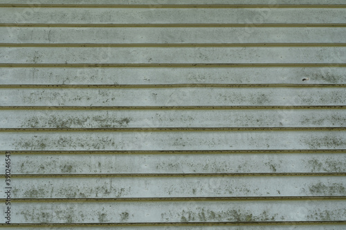 Mold and mildew on the side of a house.