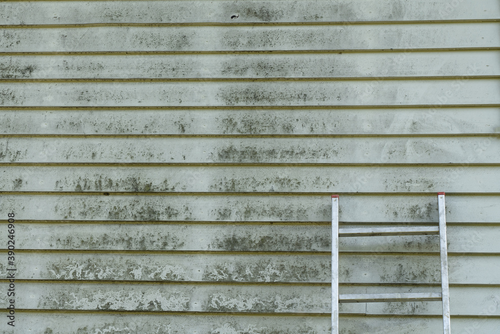 Dirty wall of house, mold, dust.