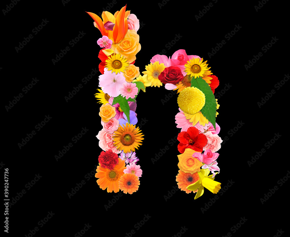 花の文字,h 花の文字,h