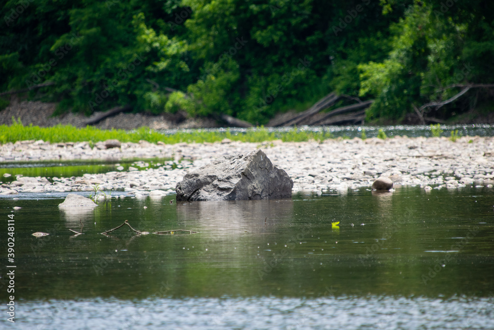 Obraz premium rock on the river